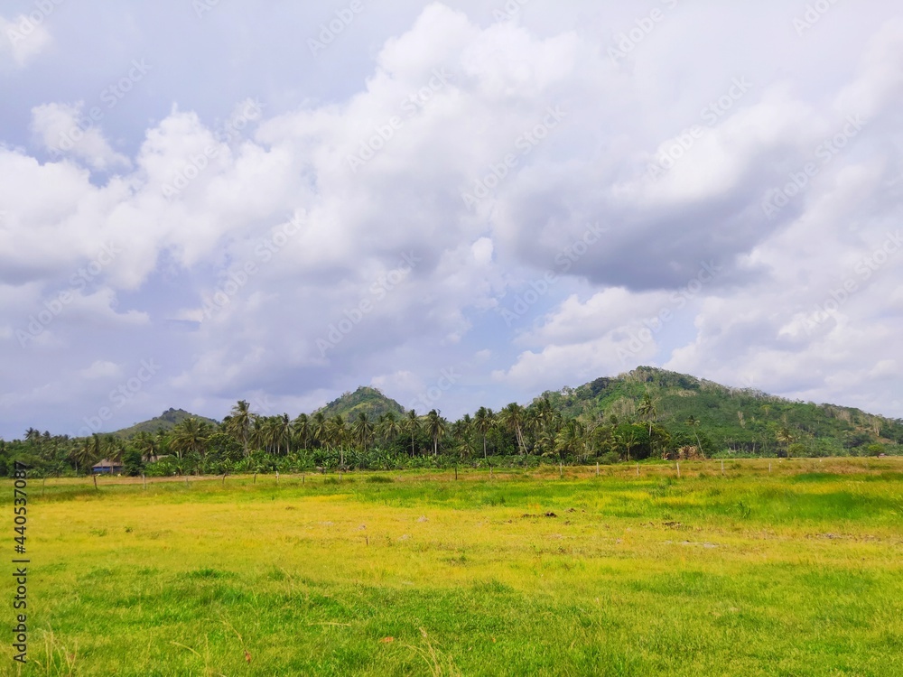 Natural Scenery of Meadow, Mountains, Sky, Clouds and Green Forest Natural Scenery of Meadow, Mountains, Sky, Clouds and Green Forest