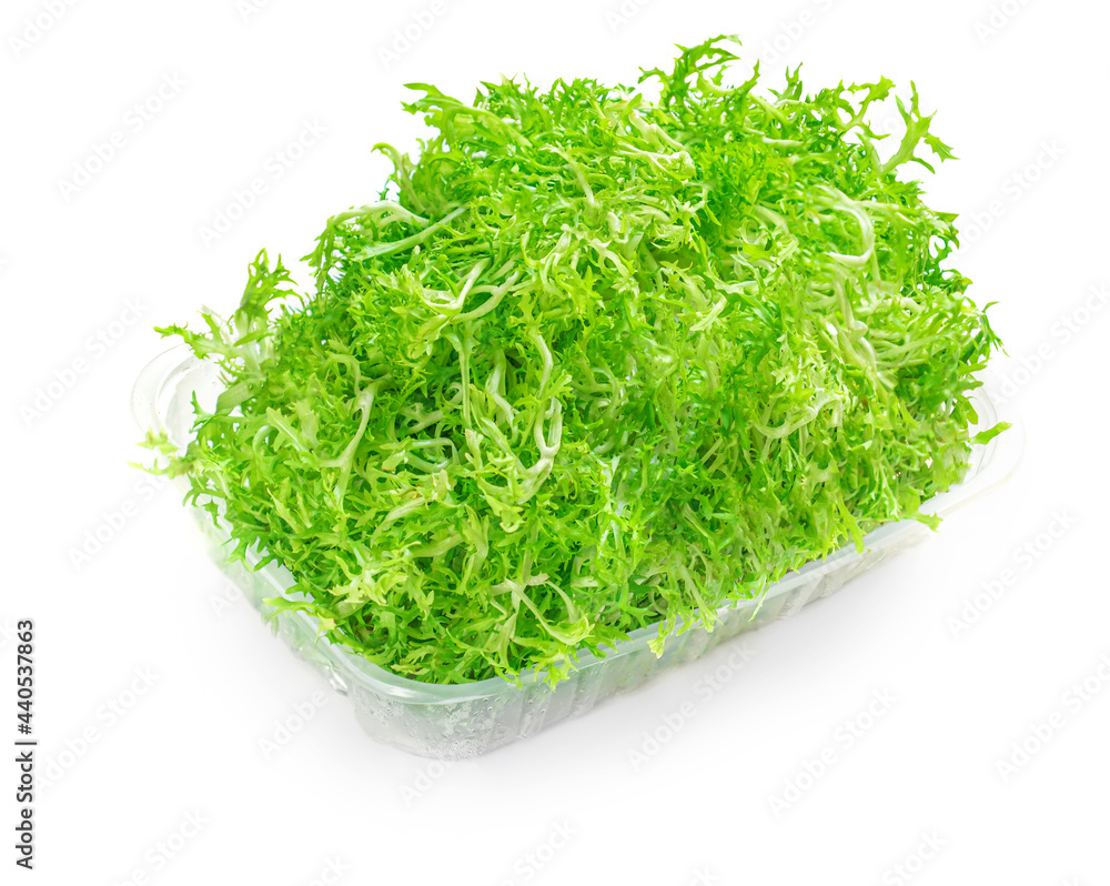 Frisee lettuce leaves isolated on white background. Green Crispy endive or Curly Escarole Salad top view.. Frisee lettuce leaves isolated on white background. Green Crispy endive or Curly Escarole Salad top view..