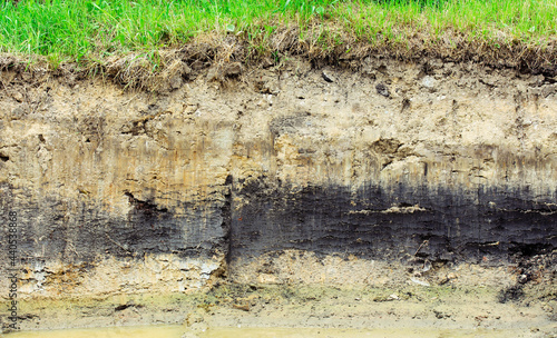 Layers of soil beneath section