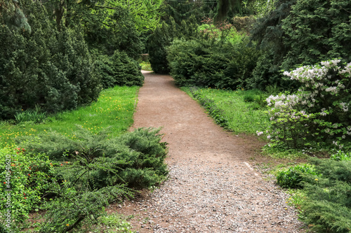 A path of rubble in the park for hiking among green bushes and trees