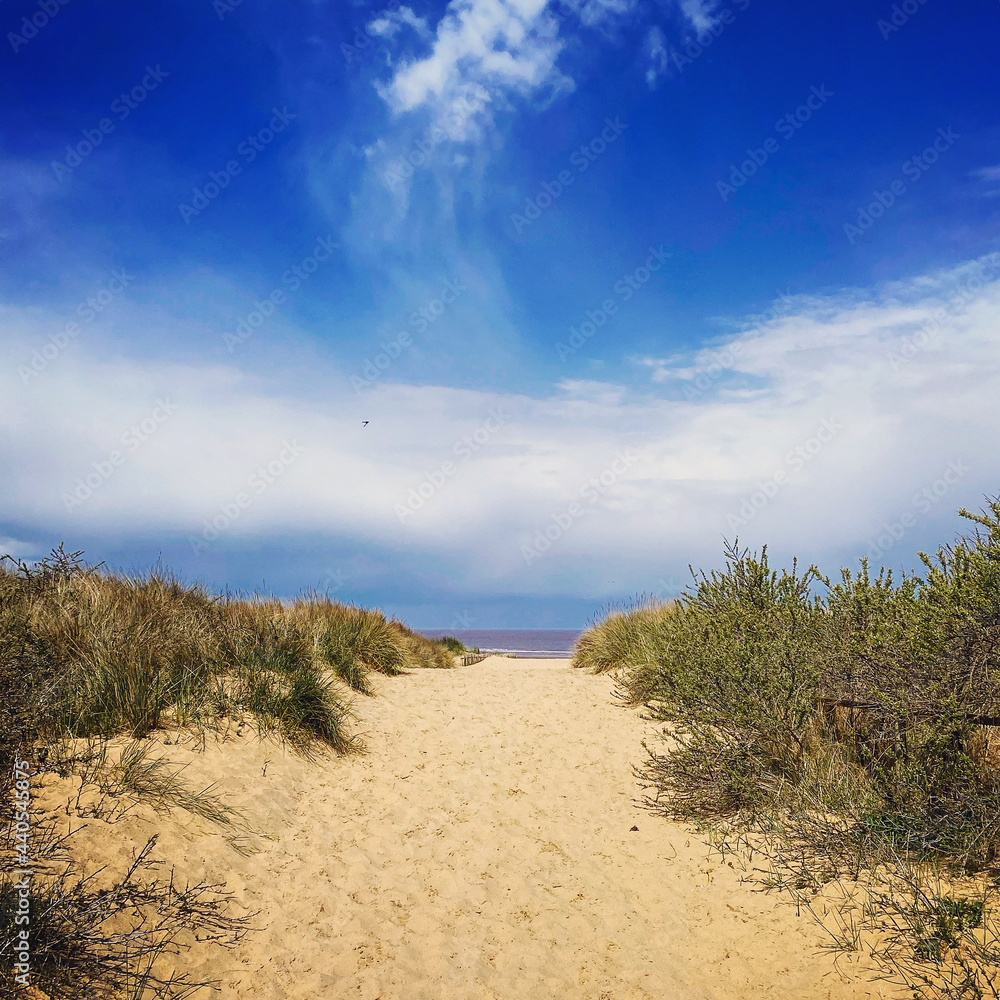 sand dunes and sky