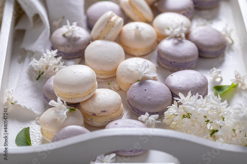 Beautiful macaroons flavored lilac. Dessert concept for summer.