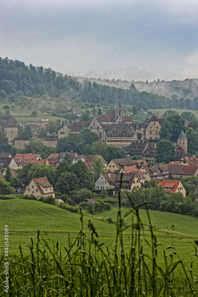 Blick auf Kloster und Schloß Bebenhausen