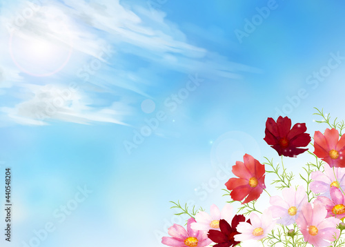 秋桜と青空の水彩イラスト