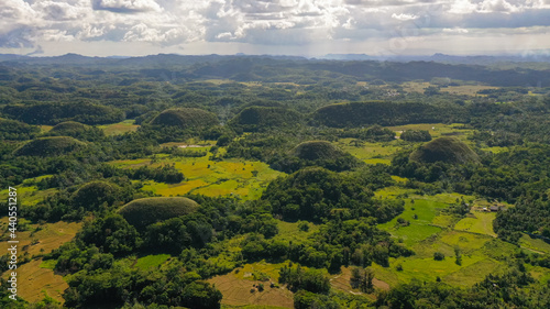 Fototapeta Naklejka Na Ścianę i Meble -  Natural formations known as chocolate hills.Bohol, Philippines, top view.
