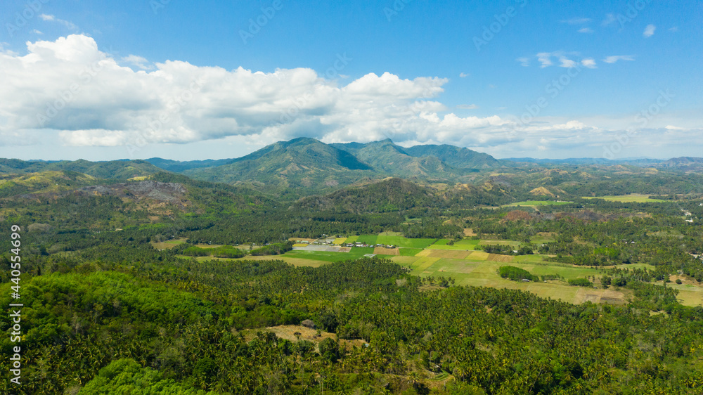 Fototapeta premium Tropical landscape: Agricultural land with plantings against a background of mountains and blue sky. Mindanao, Philippines.