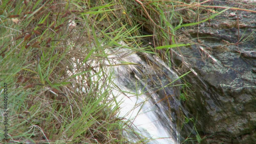 small waterfall flowing from a cliff small waterfall flowing from a cliff