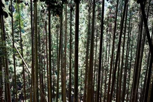 Kurama-yama in Kyoto.