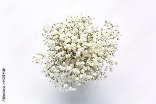 Beautiful gypsophila flowers on white background photo