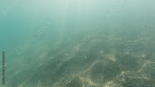 Unterwasseraufnahmen © Alexander