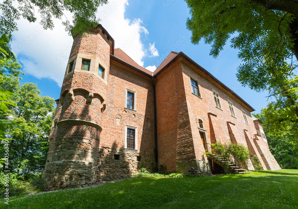 Fototapeta premium Zamek w Dębnie