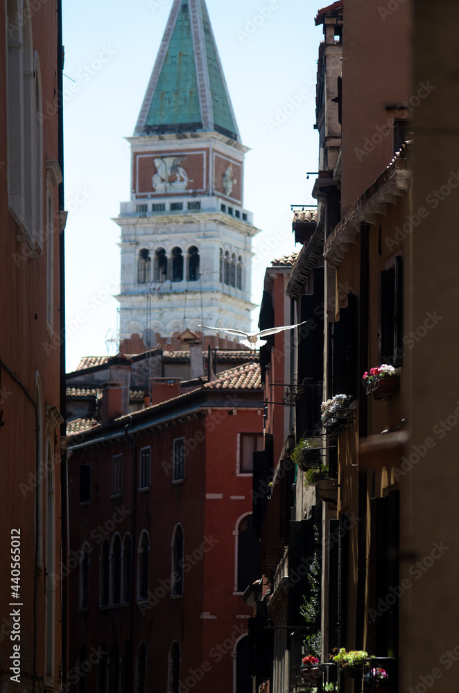 A pidgeon and a sea gull fly over a Venice canal, with the  main Bell Tower in the background.