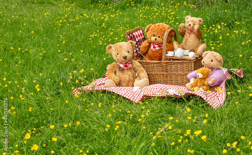 Teddy bear's picnic.  Five cute bears enjoy a picnic in Swaledale's wildflower meadows with colourful yellow buttercups.  Traditional wicker basket and red gingham table cloth.  Space for copy. photo