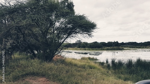 landscape with river