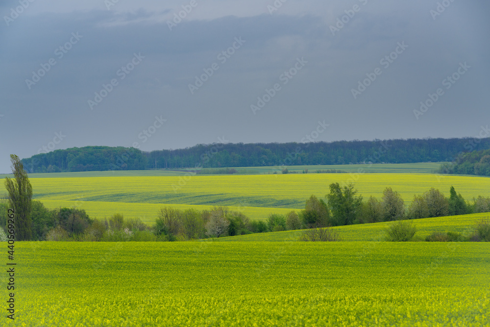Agricultural landscape Podilia region, South-Western Ukraine