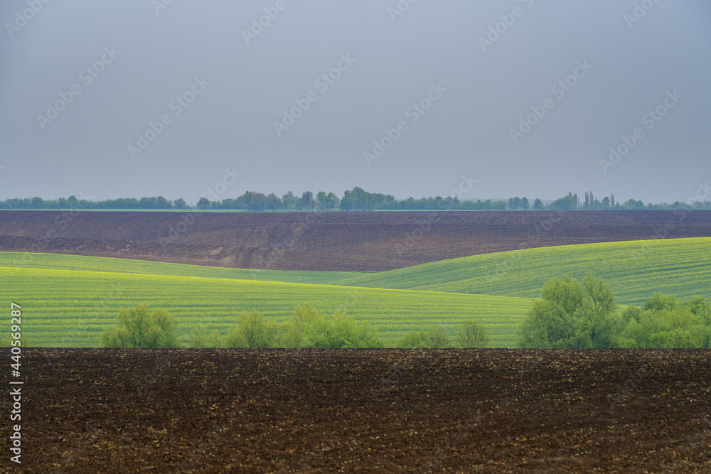 Cropland located on hills, Podilia region, South-Western Ukraine