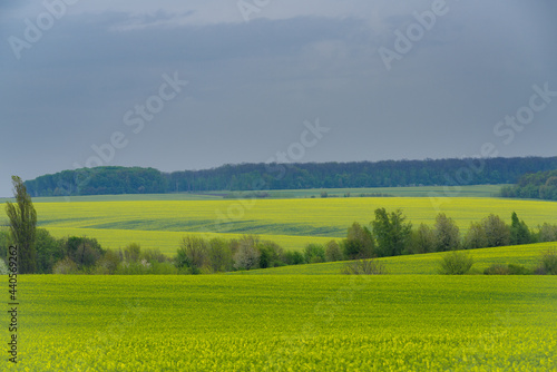 Agricultural landscape Podilia region  South-Western Ukraine