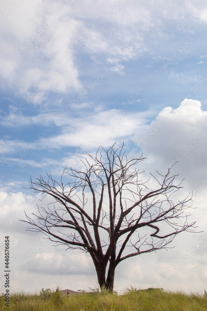 The Lone Tree in Jurong Lake Gardens Singapore. It is a sculpture