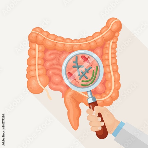 Intestines, guts flora. Digestive tract with bacteria, virus, microorganisms and magnifying glass. Medicine, biology concept. Colon, bowel. Vector illustration