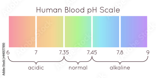 Human blood pH scale vector diagram.
