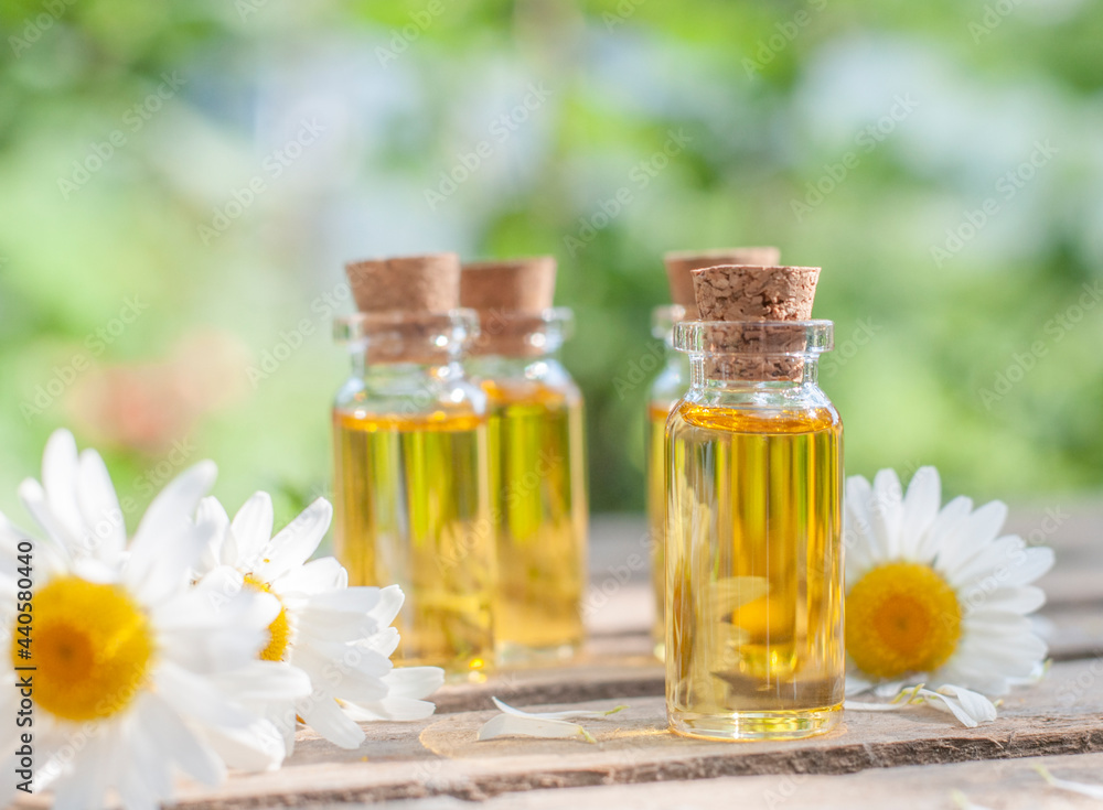 essential oil bottle with chamomile flowers in the nature blurred background essential oil bottle with chamomile flowers in the nature blurred background