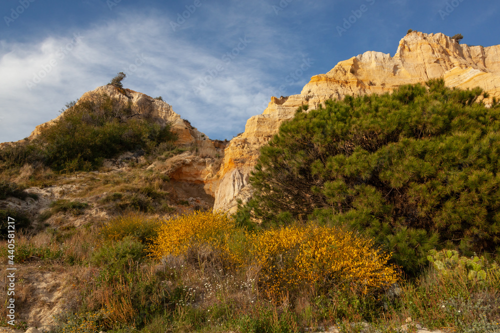 Red erosion cliffs overgrown with vegetation on the Matalascanas beach - one of the most beautiful beaches in Spain, Huelva.