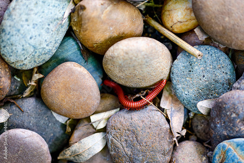 pebbles on the ground 