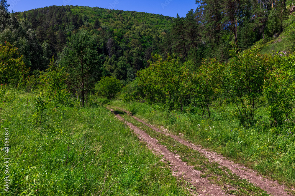 Perspective of a dirt road going into the distance in the national park. Summer.