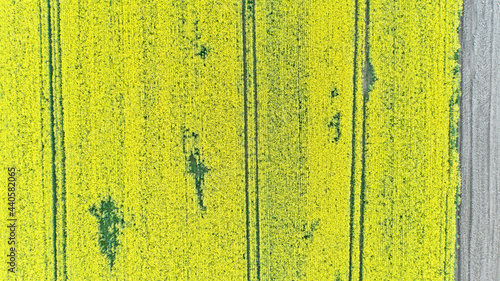 Aerial view of rape fields in Lower Silesia in Poland