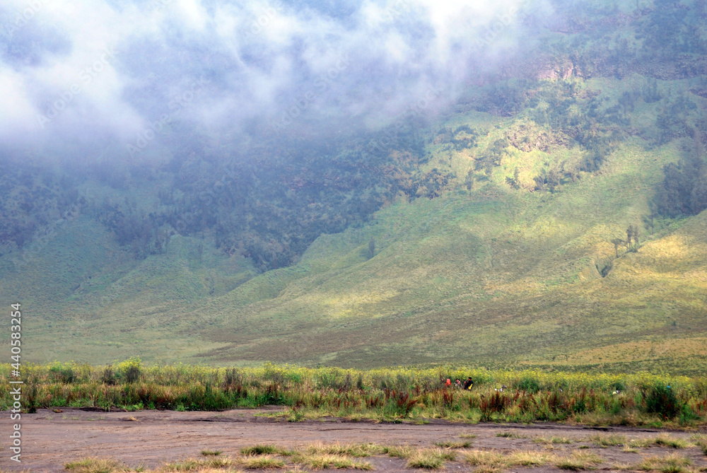 Landscape tree on the slope of mountain and valley of blok savana of bromo tengger semeru national park , indonesia 