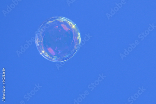 flying bubble in the garden