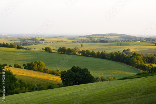 landscape with green field and sky - far view in summer warmth