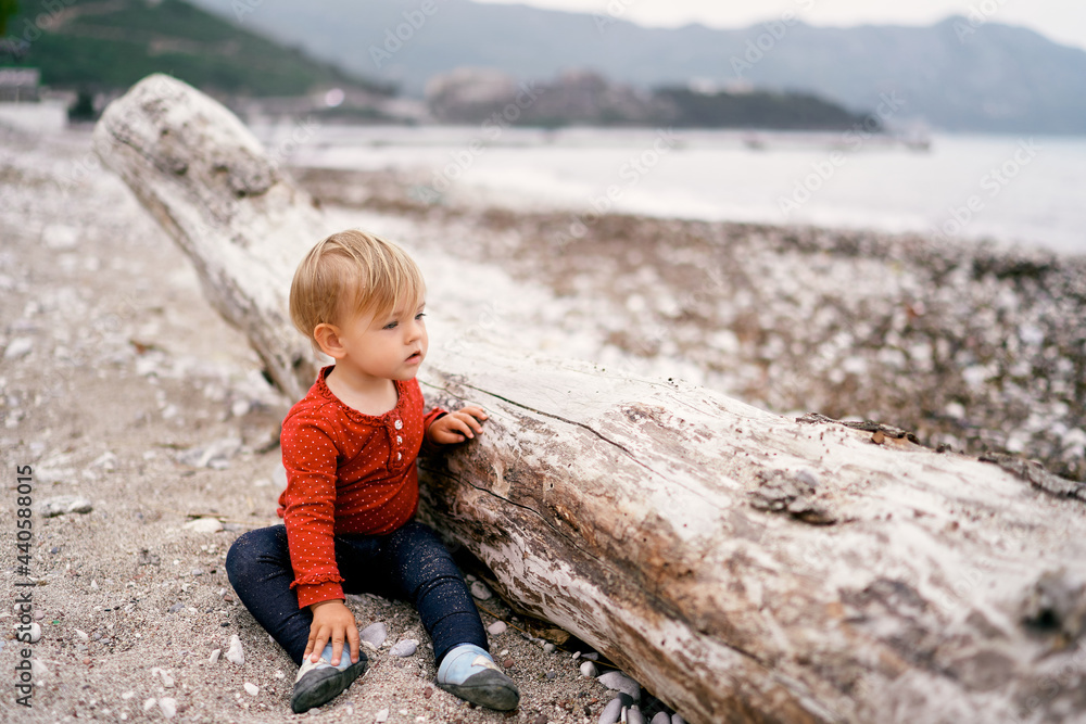 Child sits on a pebble beach near an old driftwood and looks at the sea