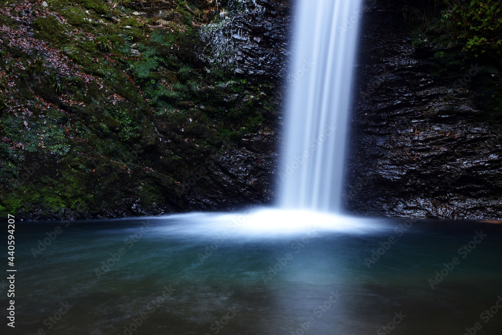 Fototapeta premium 滝