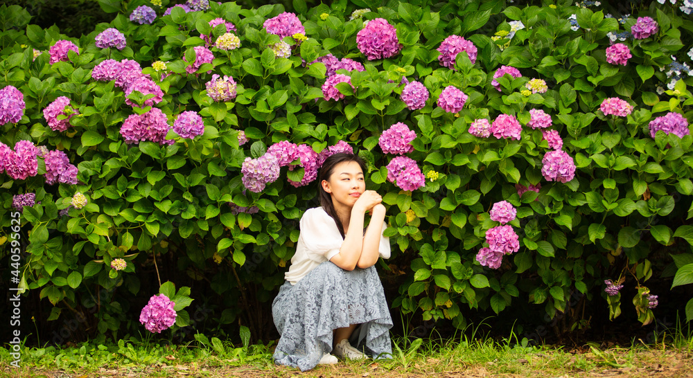 Fototapeta premium girl with hydrangea flowers in the garden