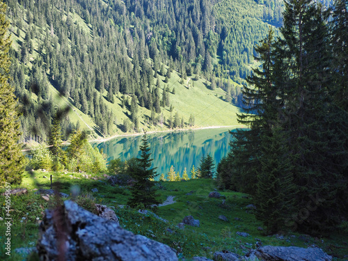 Alpen, Tirol, Natur