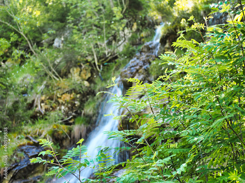 Alpen, Tirol, Natur