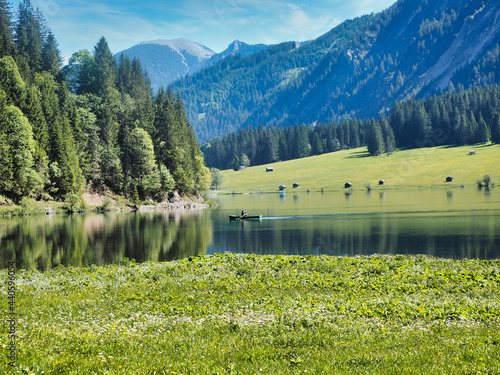 Alpen, Tirol, Natur