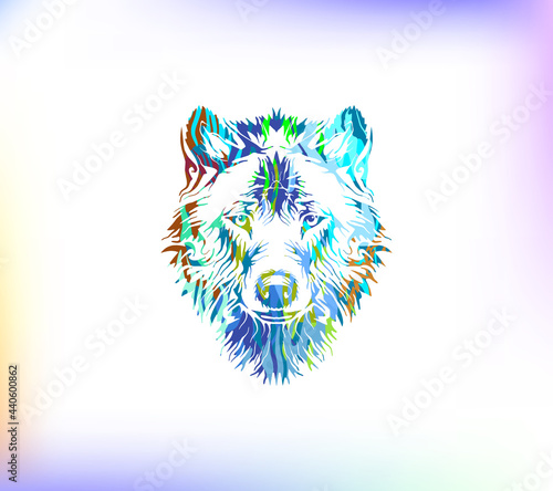 colorful wolf face hand drawn vector illustrations