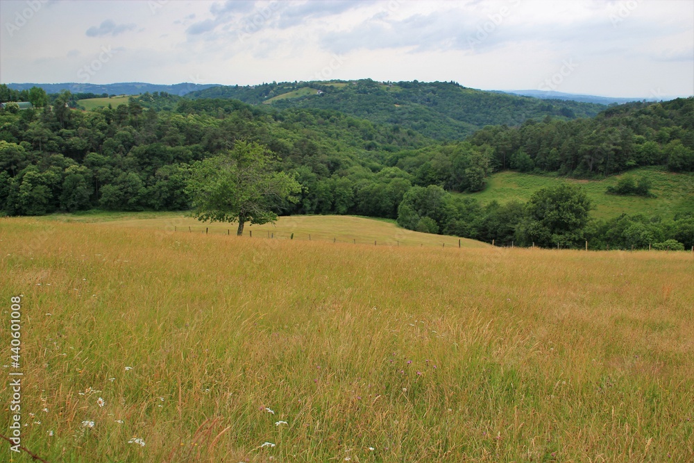 Panorama sur la campagne.