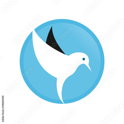 Illustration Vector Graphic of Hummingbird Logo. Perfect to use for Technology Company