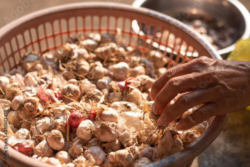 Garlic that has been dried and used for cooking is very delicious.