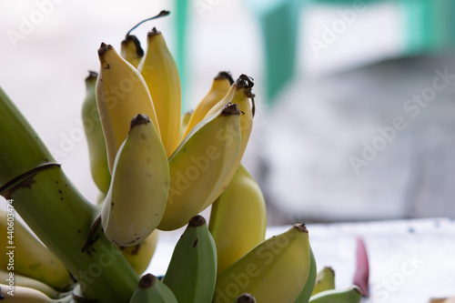 bananas at my house.
