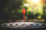 Bullseye or dart board has dart arrow throw hitting the center with bokeh nature backgrounds, shooting target for business targeting and winning goals business concepts.