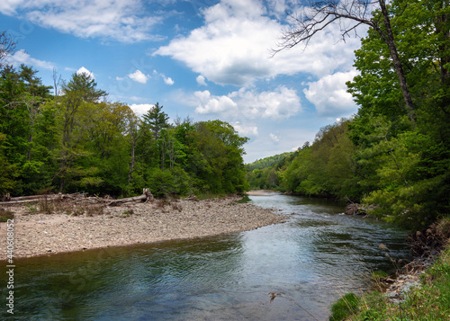 Another view of the East Branch of the Neversink River near Claryville  NY 