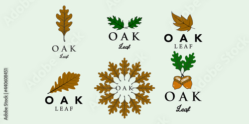 vector set of autumn leaves © Hsn42