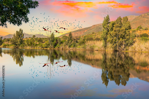 Robertson Breede River and flying birds with colorful sky in Western Cape South Africa photo