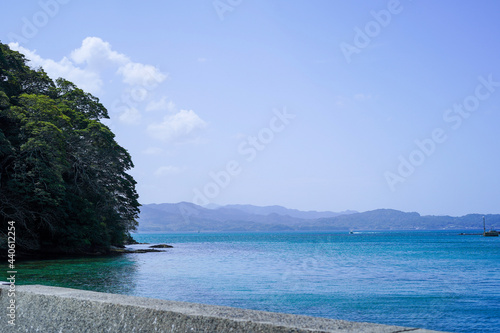 Japanese Forest, Blue Sky and Sea