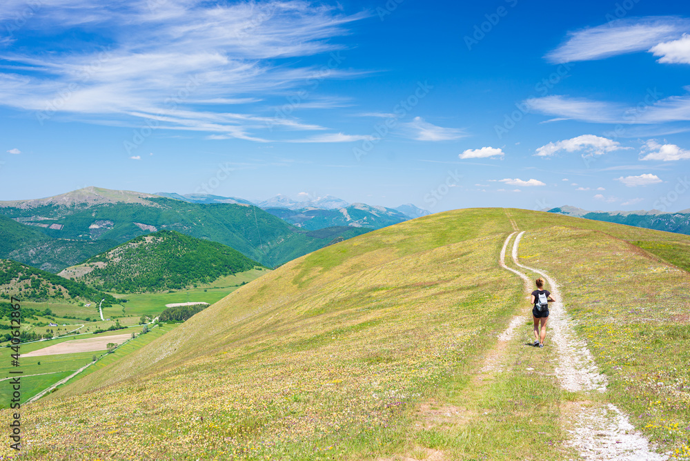 Naklejka premium Hiking in the Montelago highlands, Marche, Italy. Woman walking in green landscape unique hills and mountains landscape. Summer outdoors activity.