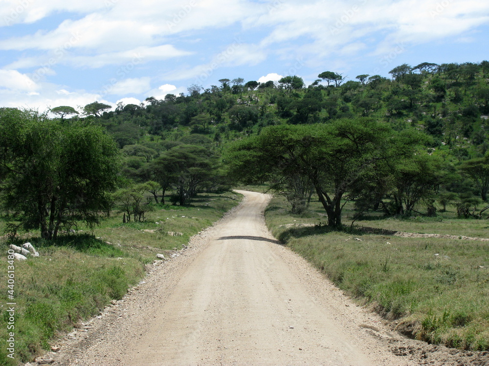 landscape in Serengeti National Park Tanzania